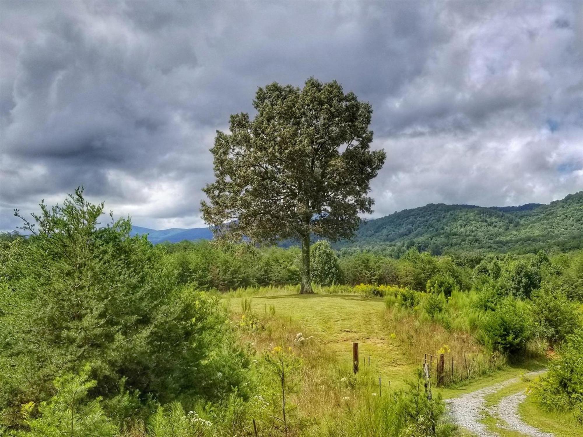 Eula Mae- Ocoee River Area Copperhill Exteriér fotografie
